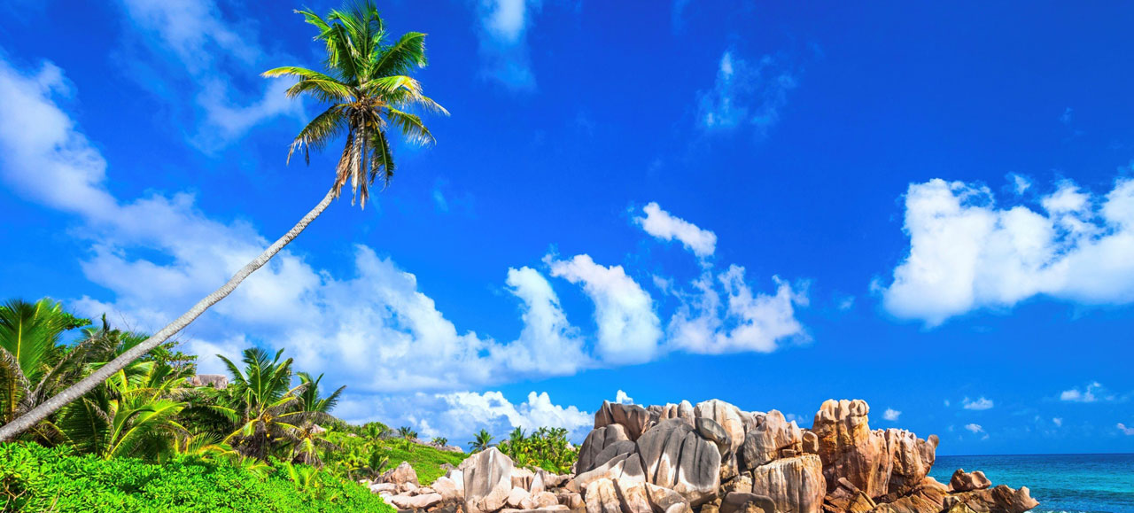 Your adventure awaits. Experience it NOW!